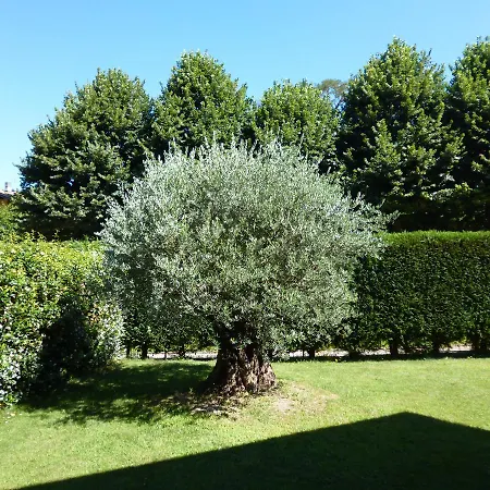 Casa Ulivo Frühstückspension *
